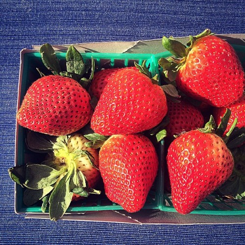 You show off, California! #sonomacounty #sonoma #farmersmarket #strawberries #santarosa