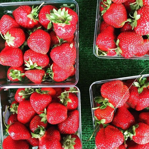 Fresh-picked fruits for a healthy and colorful snack! How is your family incorporating healthier options into your meals? Share your #YumoMoment for a chance to be included in a special project we’re building! #eatwell #summer #fresh #strawberries #farmersmarket #berries #healthy