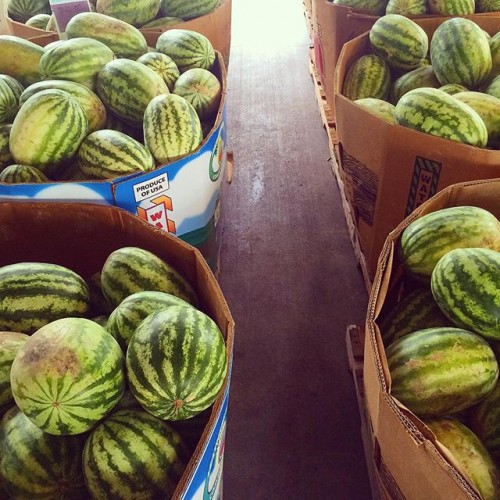 Some good ol’ home grown watermelons! My fav! 🍉From last week’s #nashvillefarmersmarket #YumoMoment