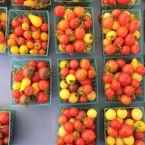 There goes Sonoma county and its #tomatoes again. Show off. Not a filter in sight. #healdsburg